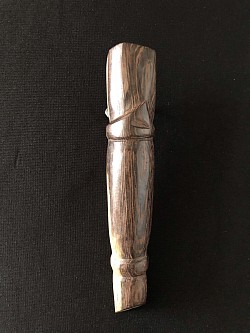 Canne à sucre