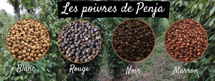 poivres de penja