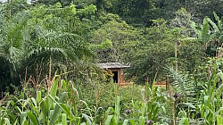 village en brousse