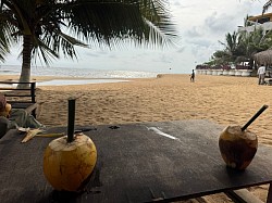 eau de coco fraiches